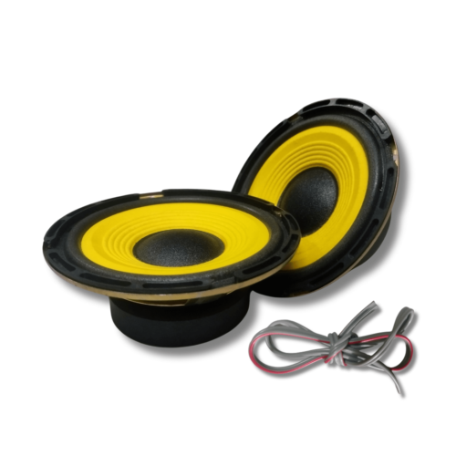 5 Inch Speaker/Woofer Set